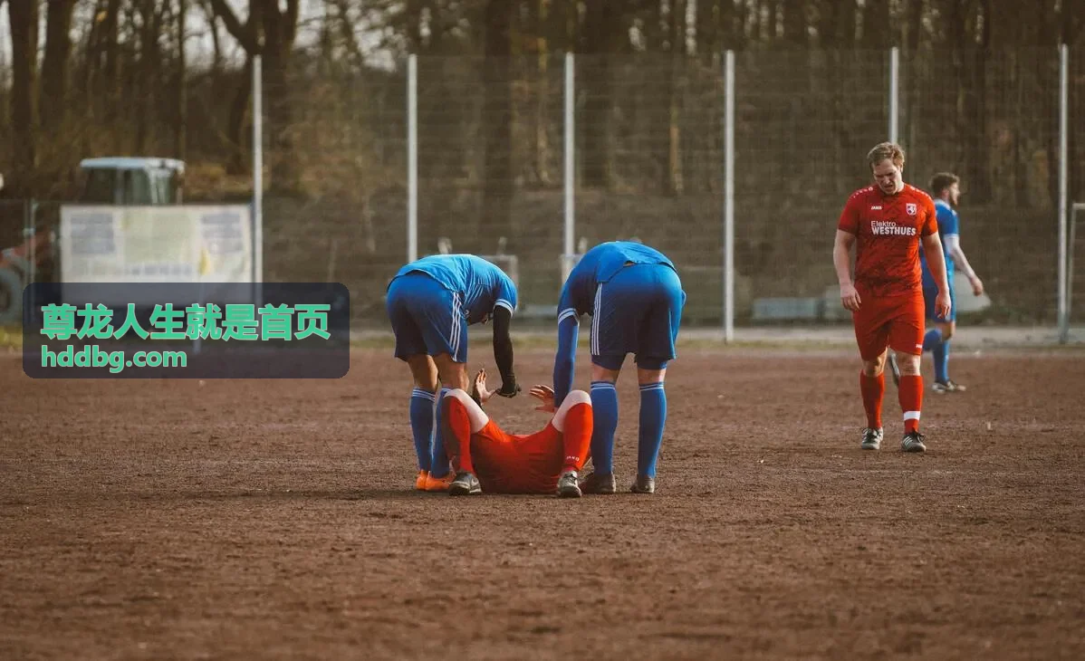 尊龙人生就是首页案例资讯：仓储物流分拨中心试运行记录